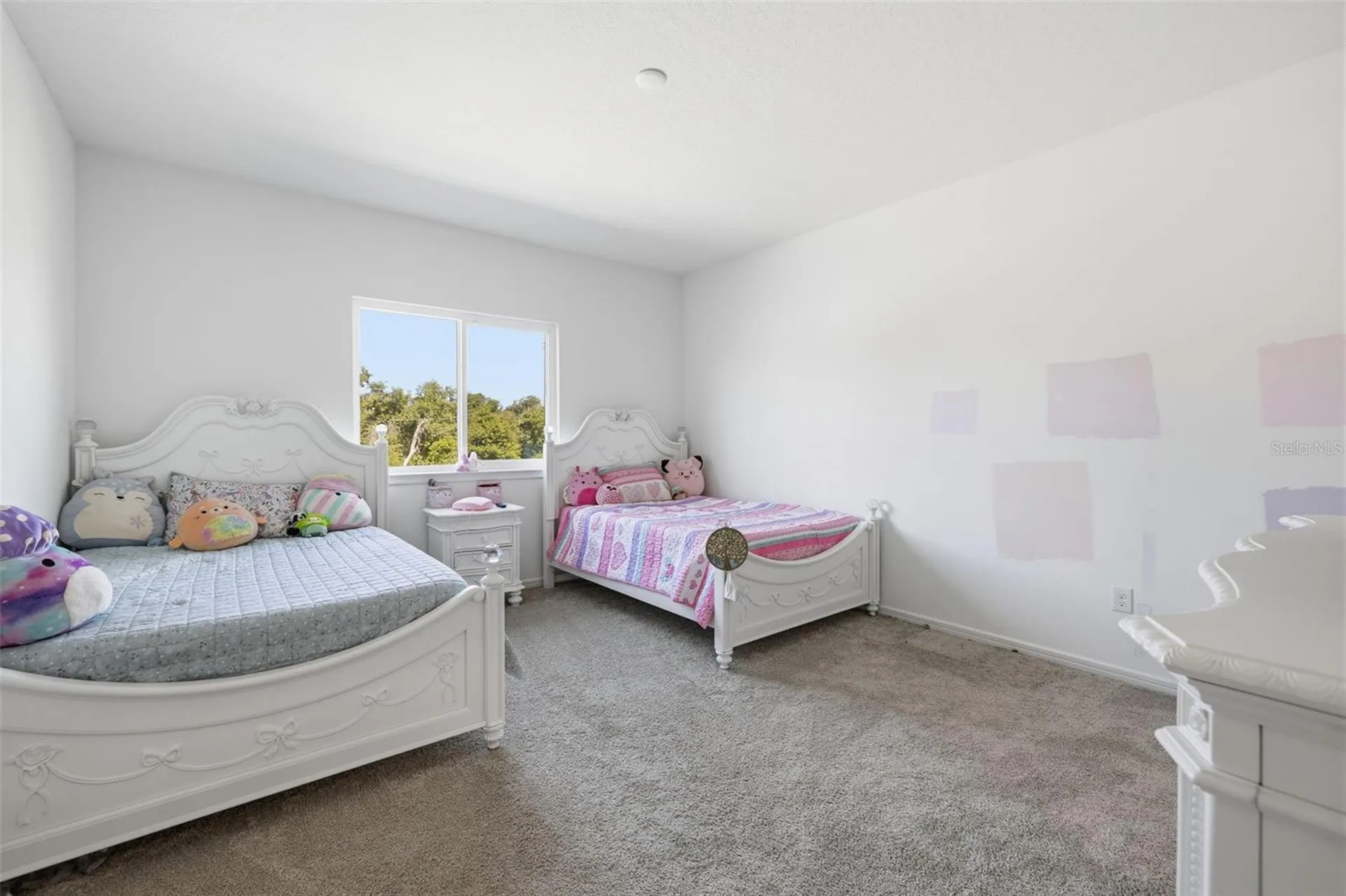 12071 Orchid Ash Street Riverview FL 33579