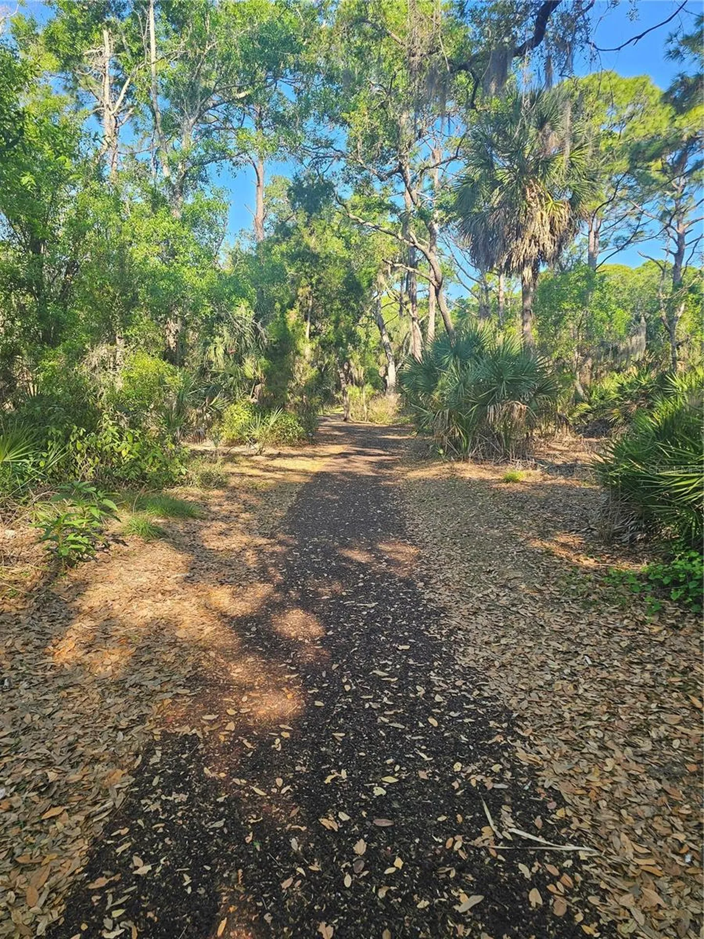 4843 Camphor Avenue Sarasota FL 34231