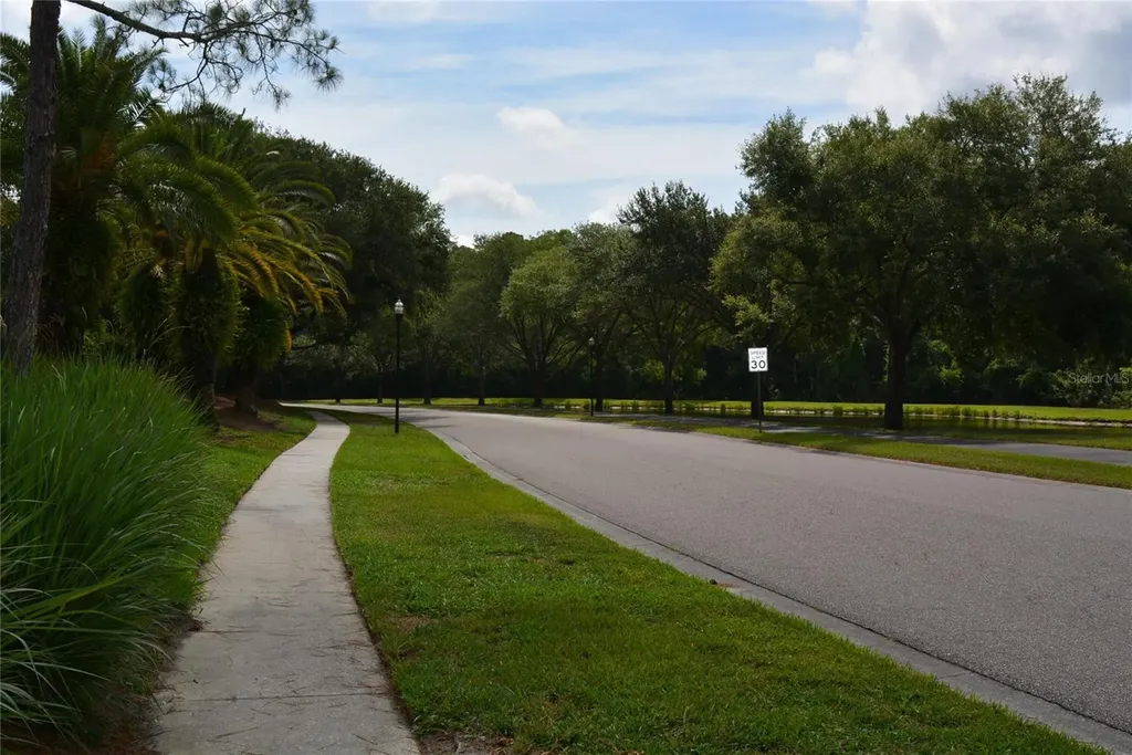 14648 Corkwood Drive Tampa FL 33626