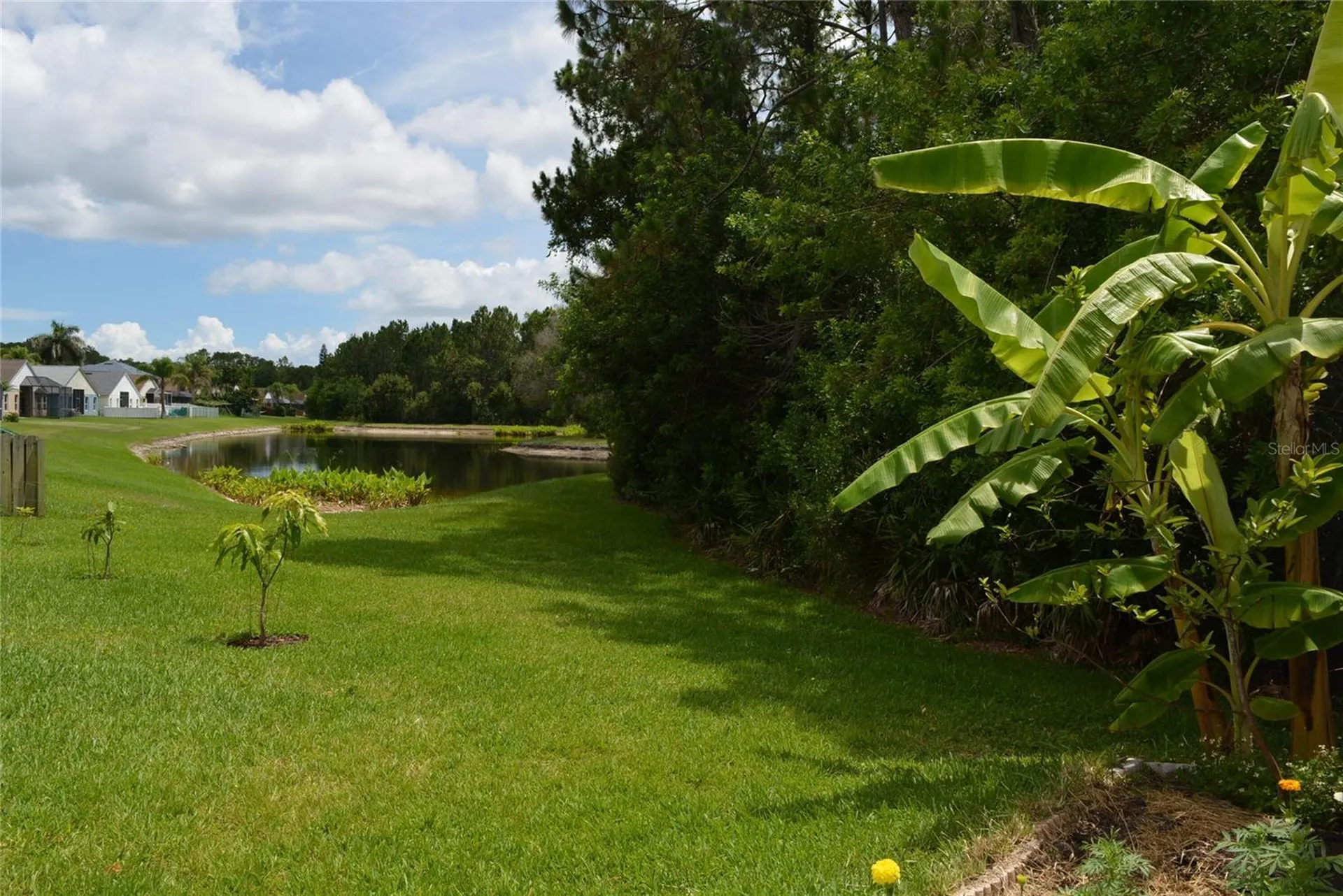 14648 Corkwood Drive Tampa FL 33626
