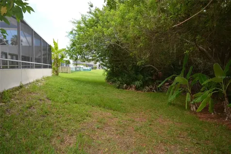 14648 Corkwood Drive Tampa FL 33626