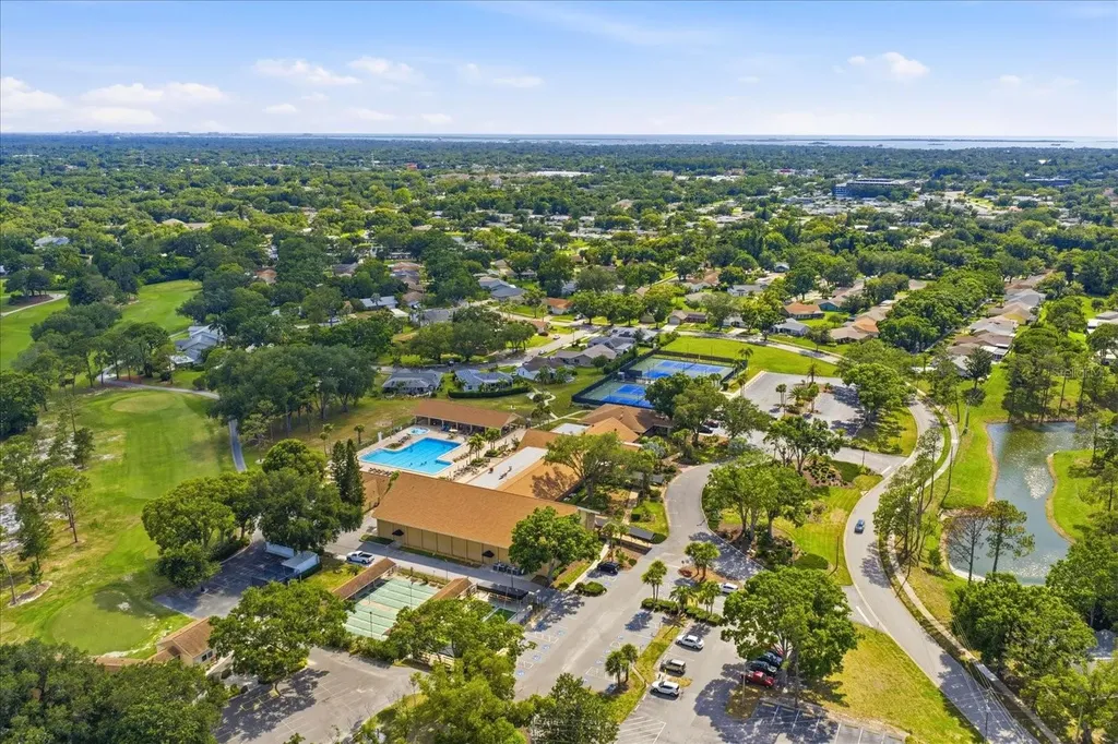 3277 Gorse Court Palm Harbor FL 34684