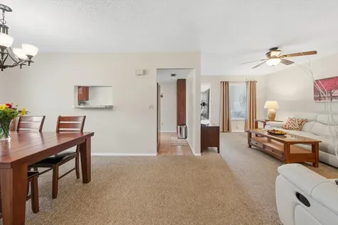 3277 Gorse Court Palm Harbor FL 34684