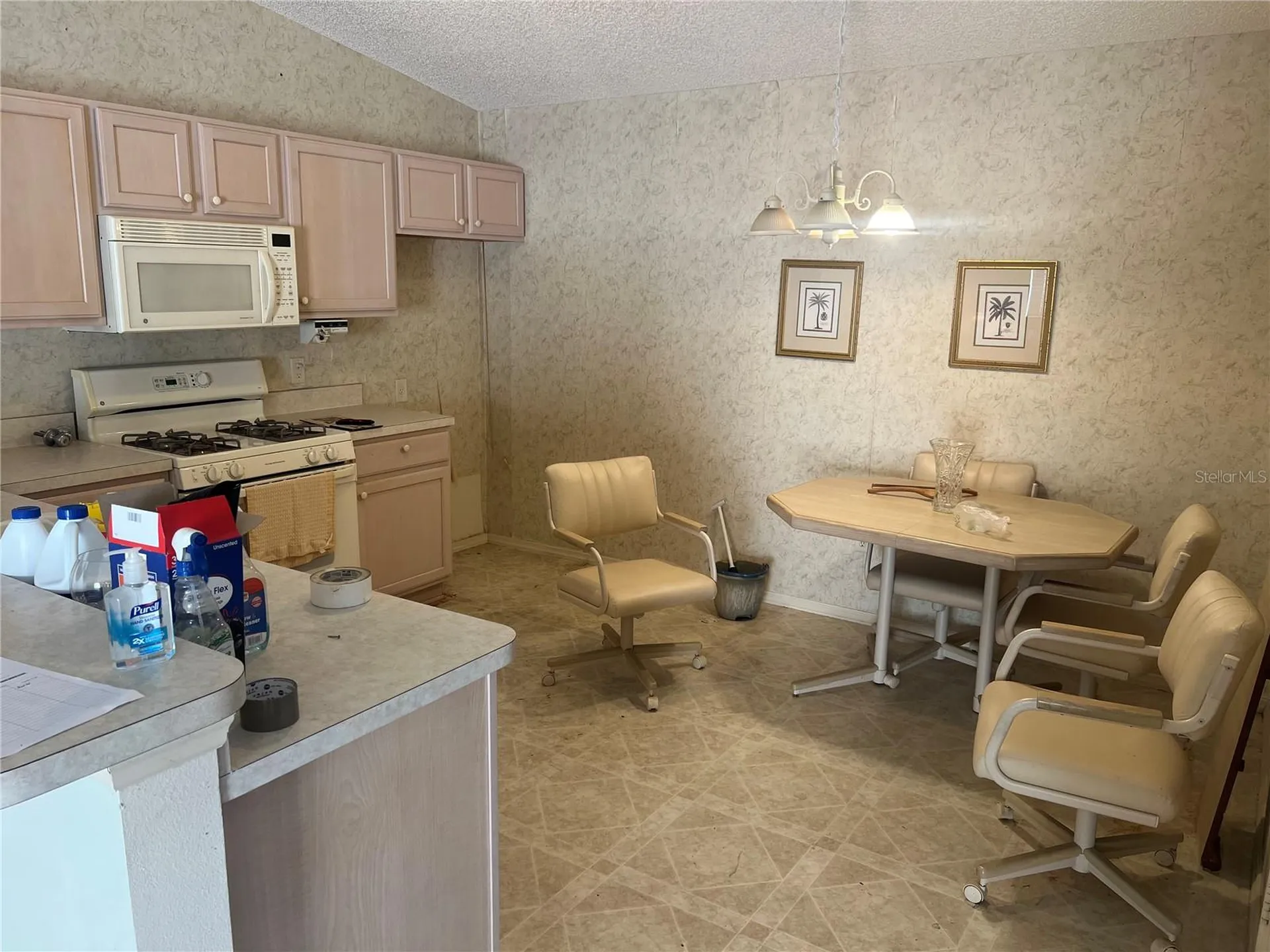 8205 SE 169th Palownia Loop The Villages FL 32162