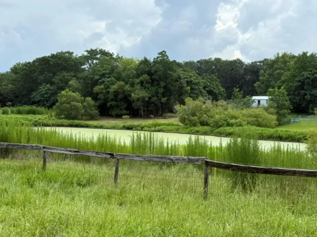 5890 SE 145th Street Summerfield FL 34491