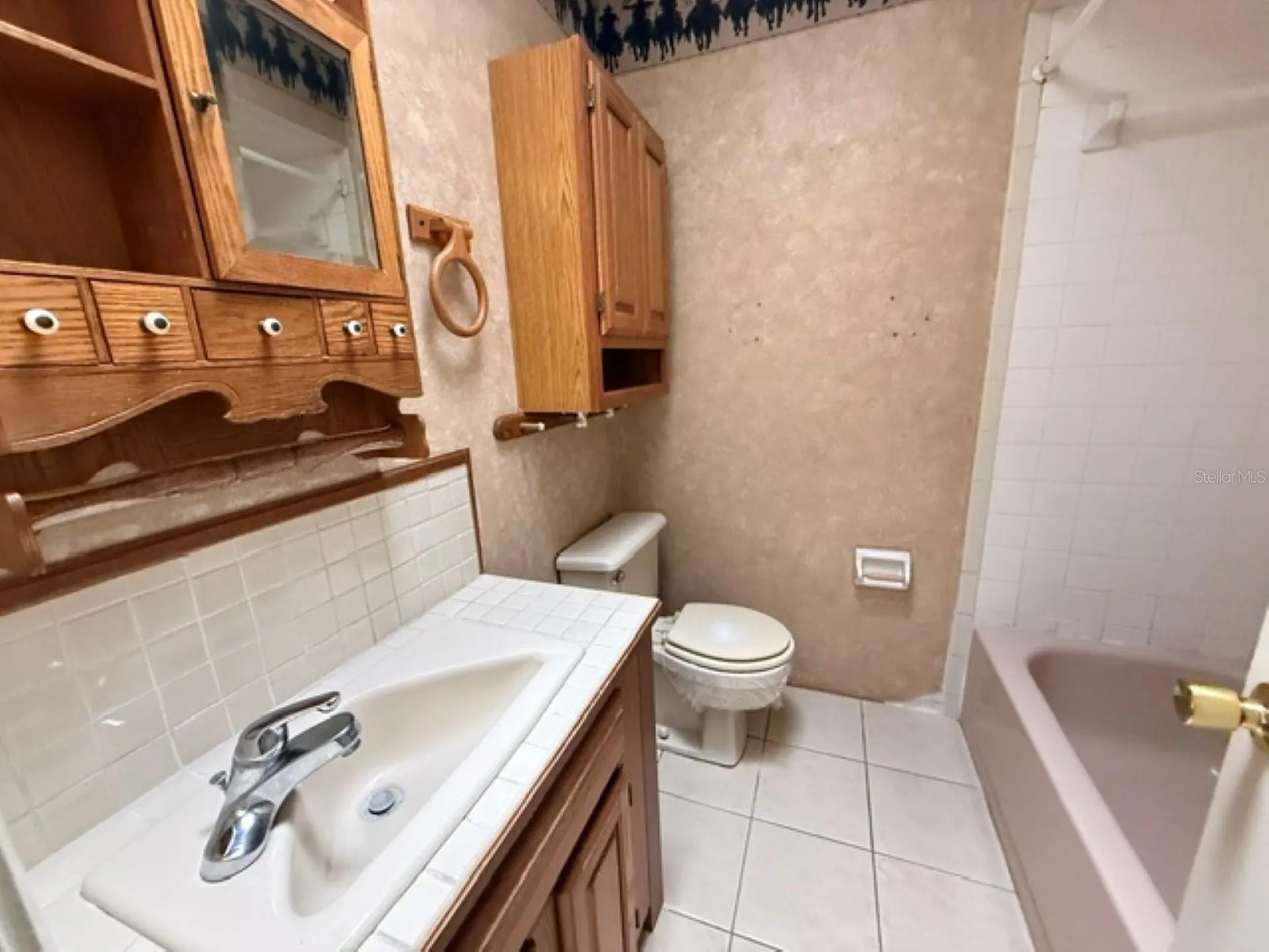 5890 SE 145th Street Summerfield FL 34491