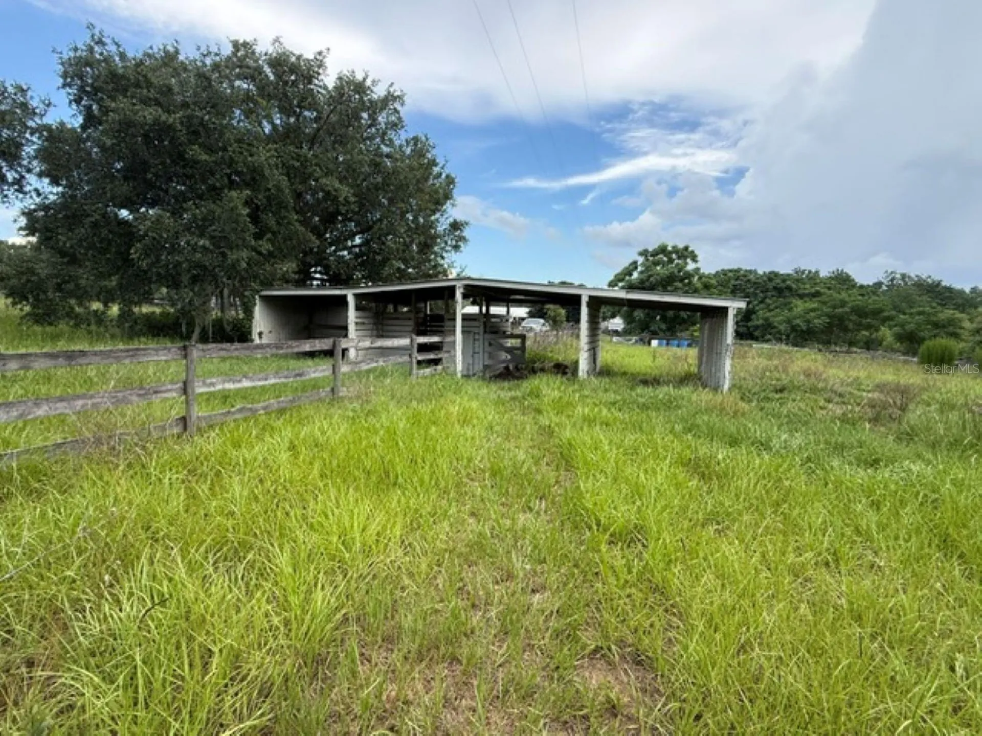 5890 SE 145th Street Summerfield FL 34491