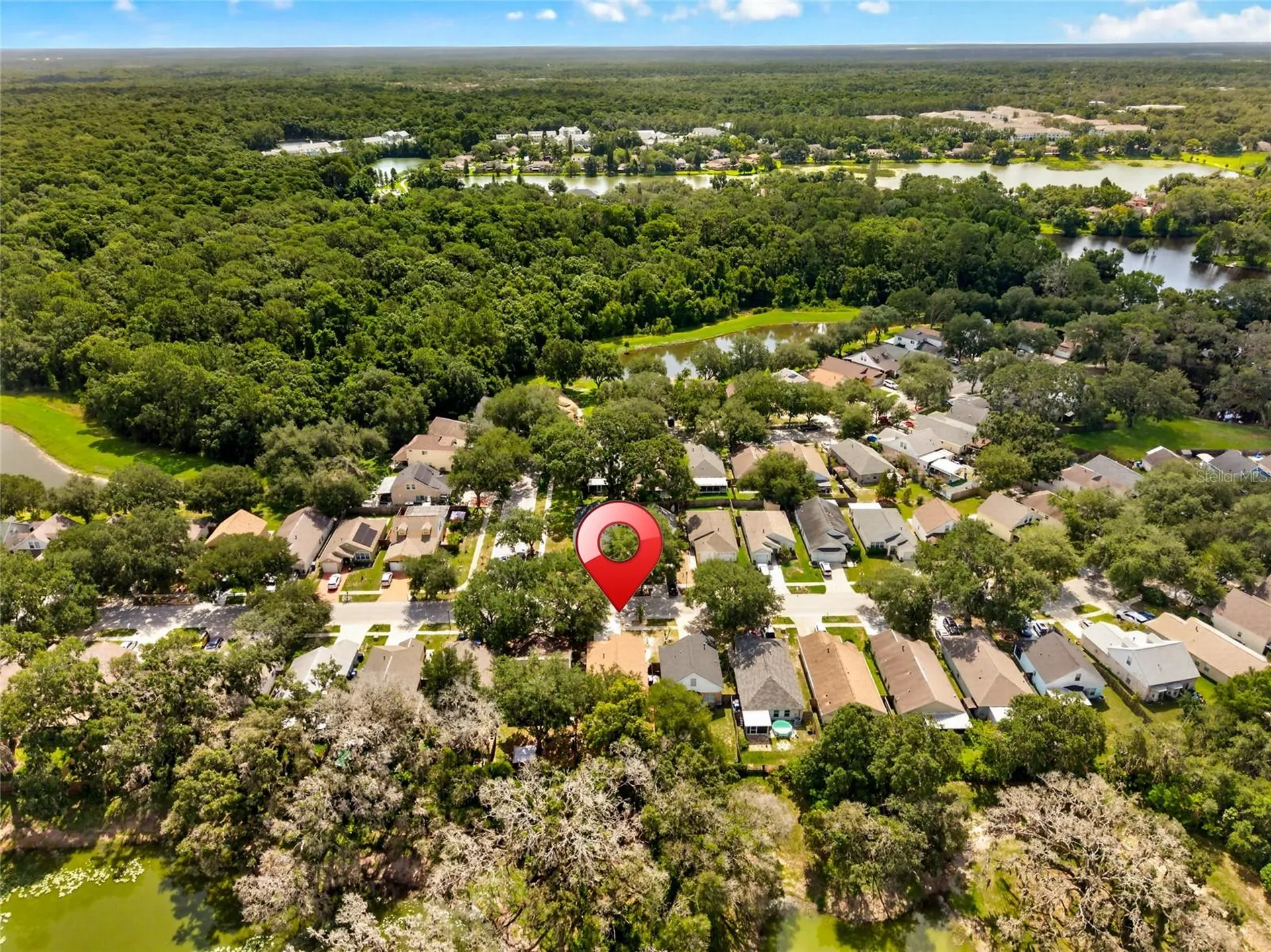 15032 Deer Meadow Drive Lutz FL 33559