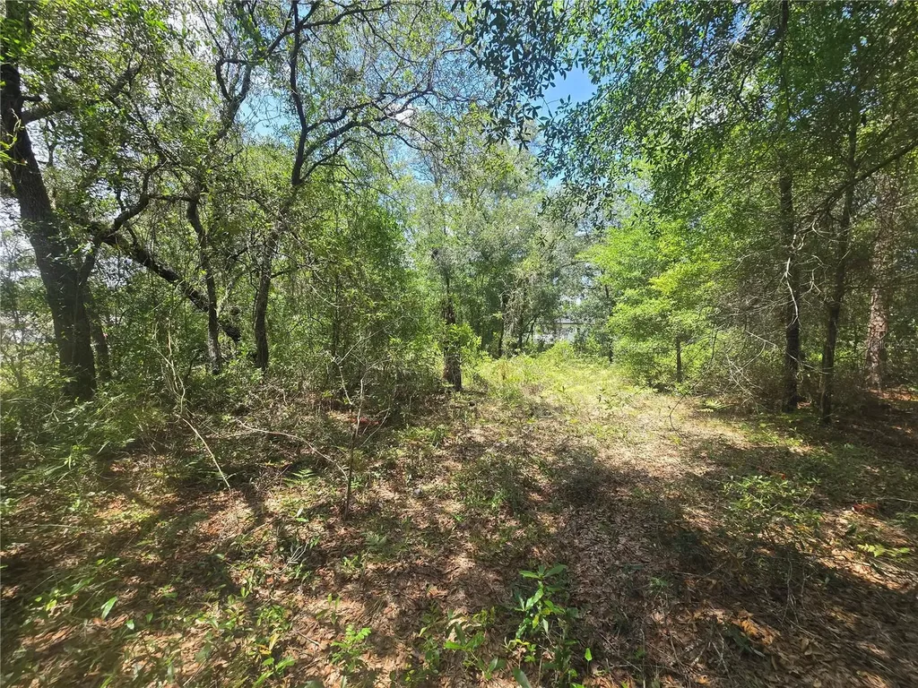 8365 N Ibsen Drive Citrus Springs FL 34433