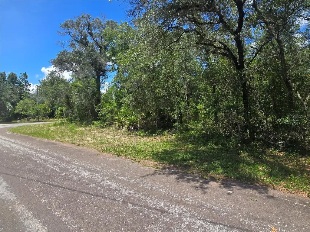 8365 N Ibsen Drive Citrus Springs FL 34433