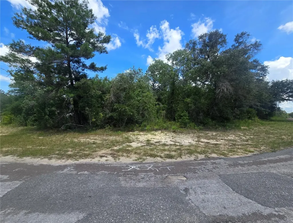8365 N Ibsen Drive Citrus Springs FL 34433