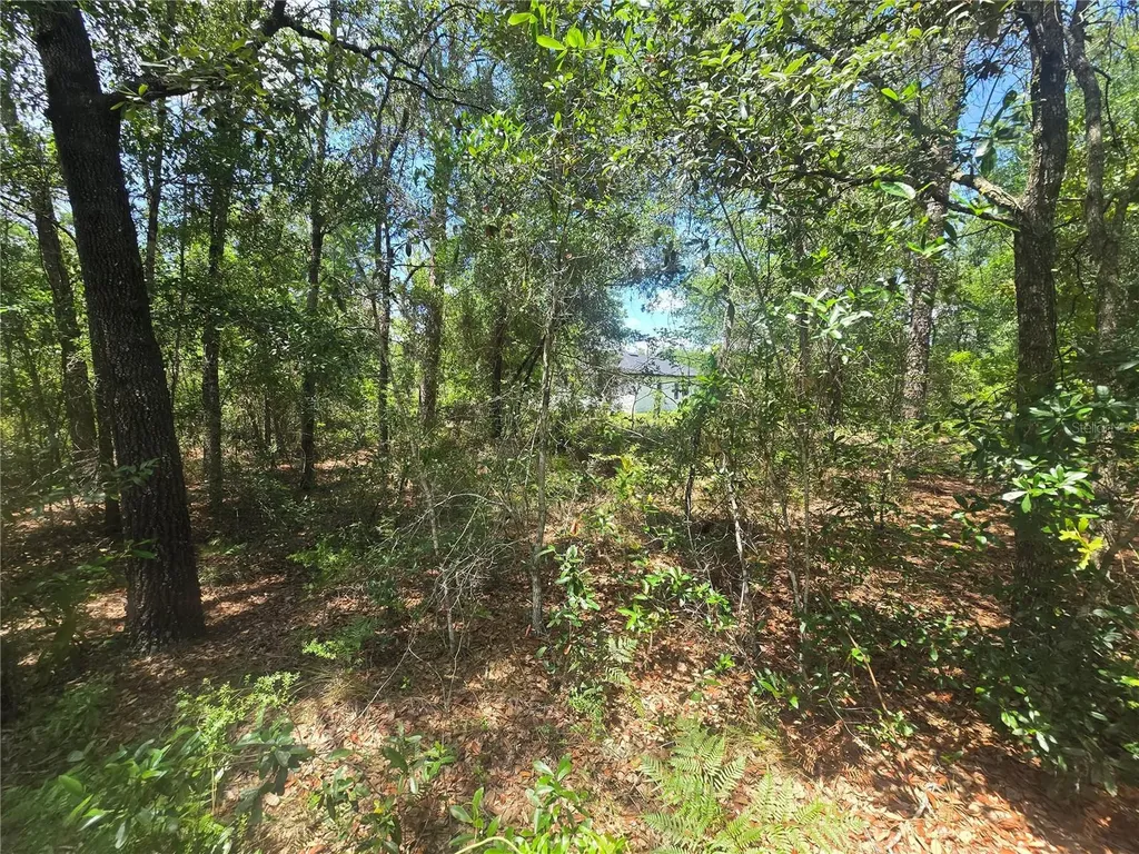 8365 N Ibsen Drive Citrus Springs FL 34433