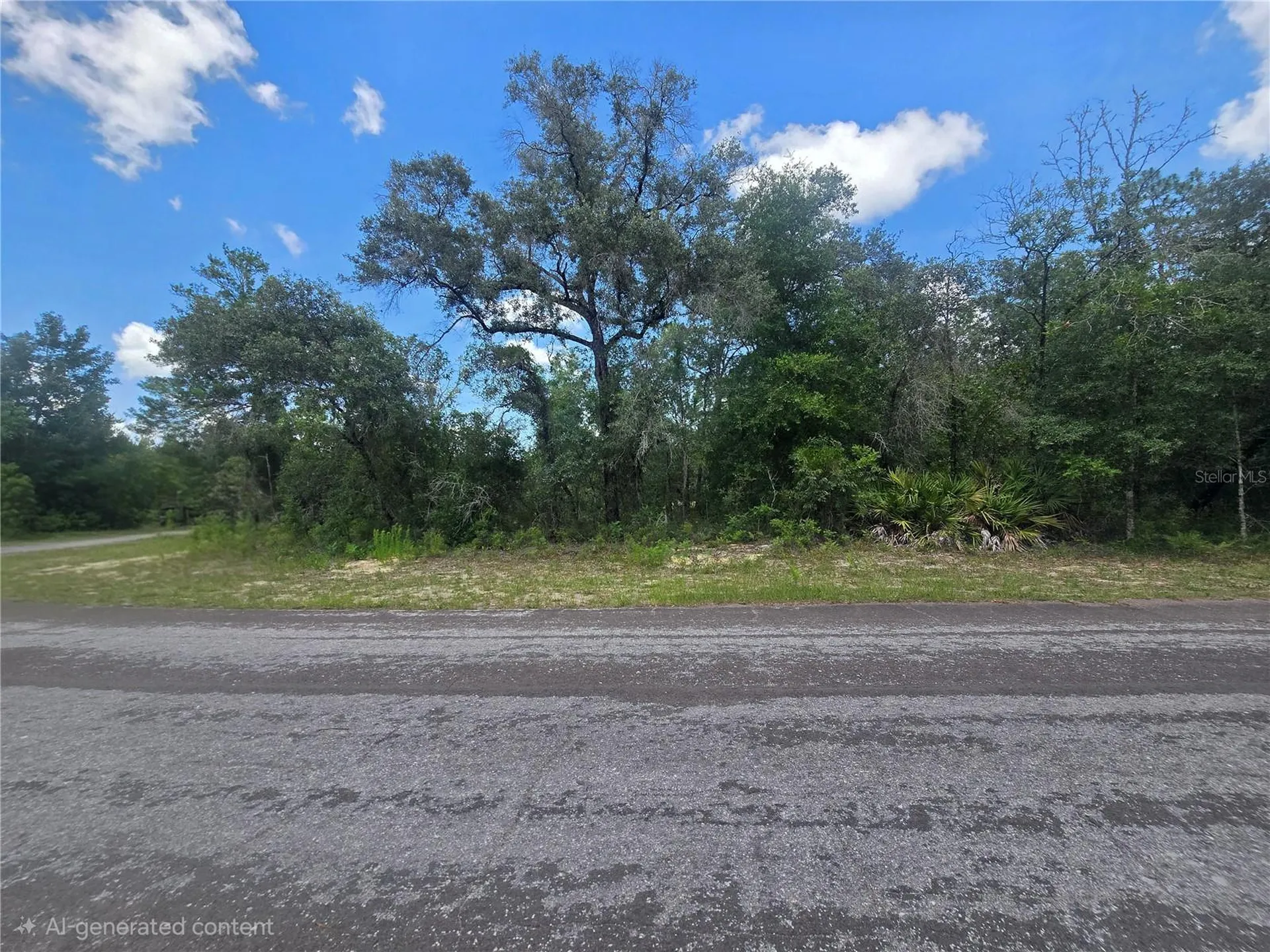 8365 N Ibsen Drive Citrus Springs FL 34433