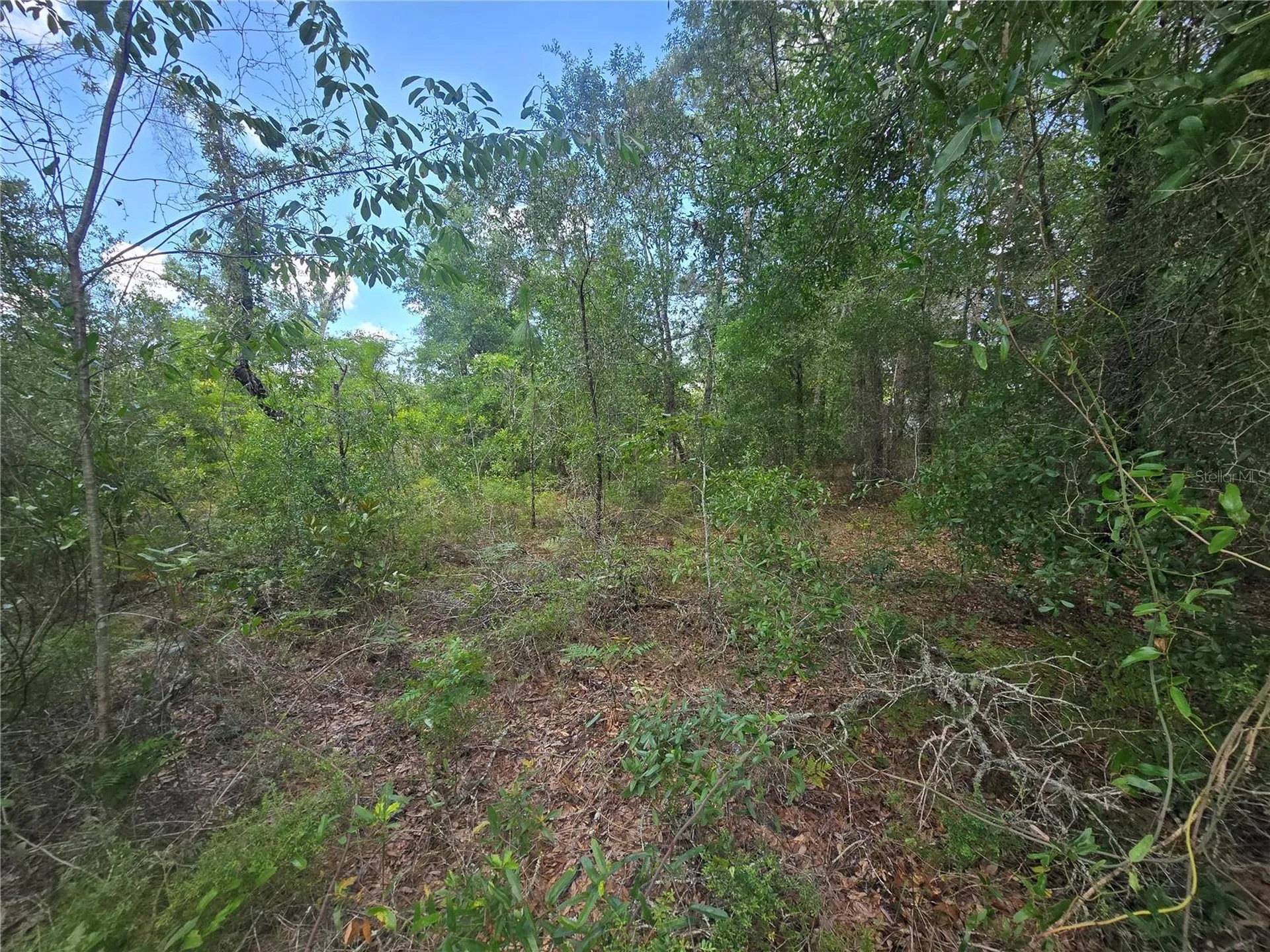 8365 N Ibsen Drive Citrus Springs FL 34433