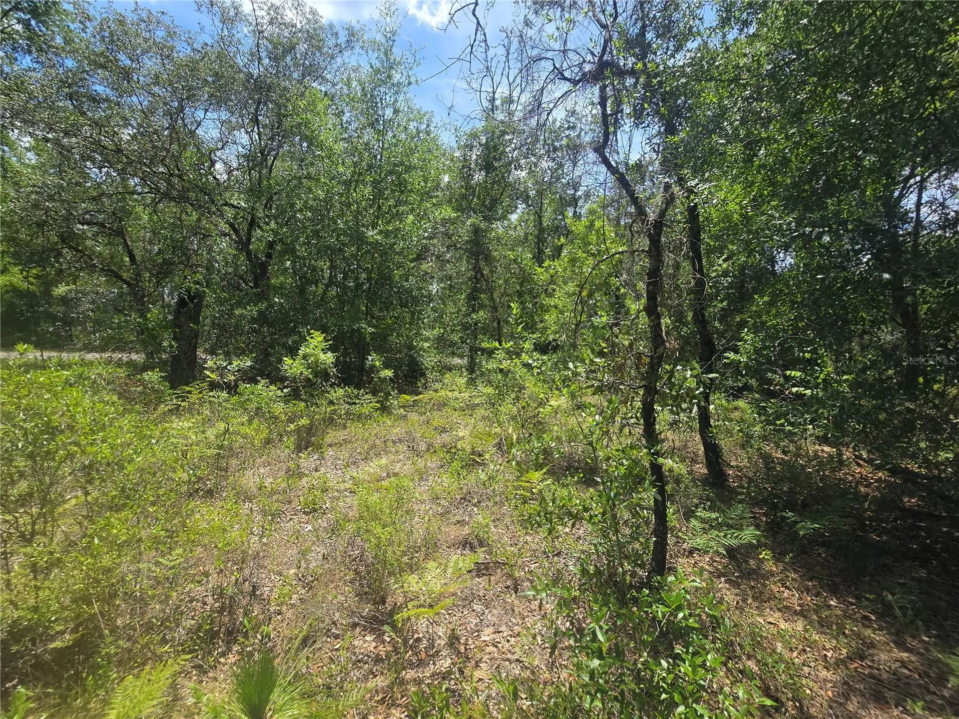 8365 N Ibsen Drive Citrus Springs FL 34433