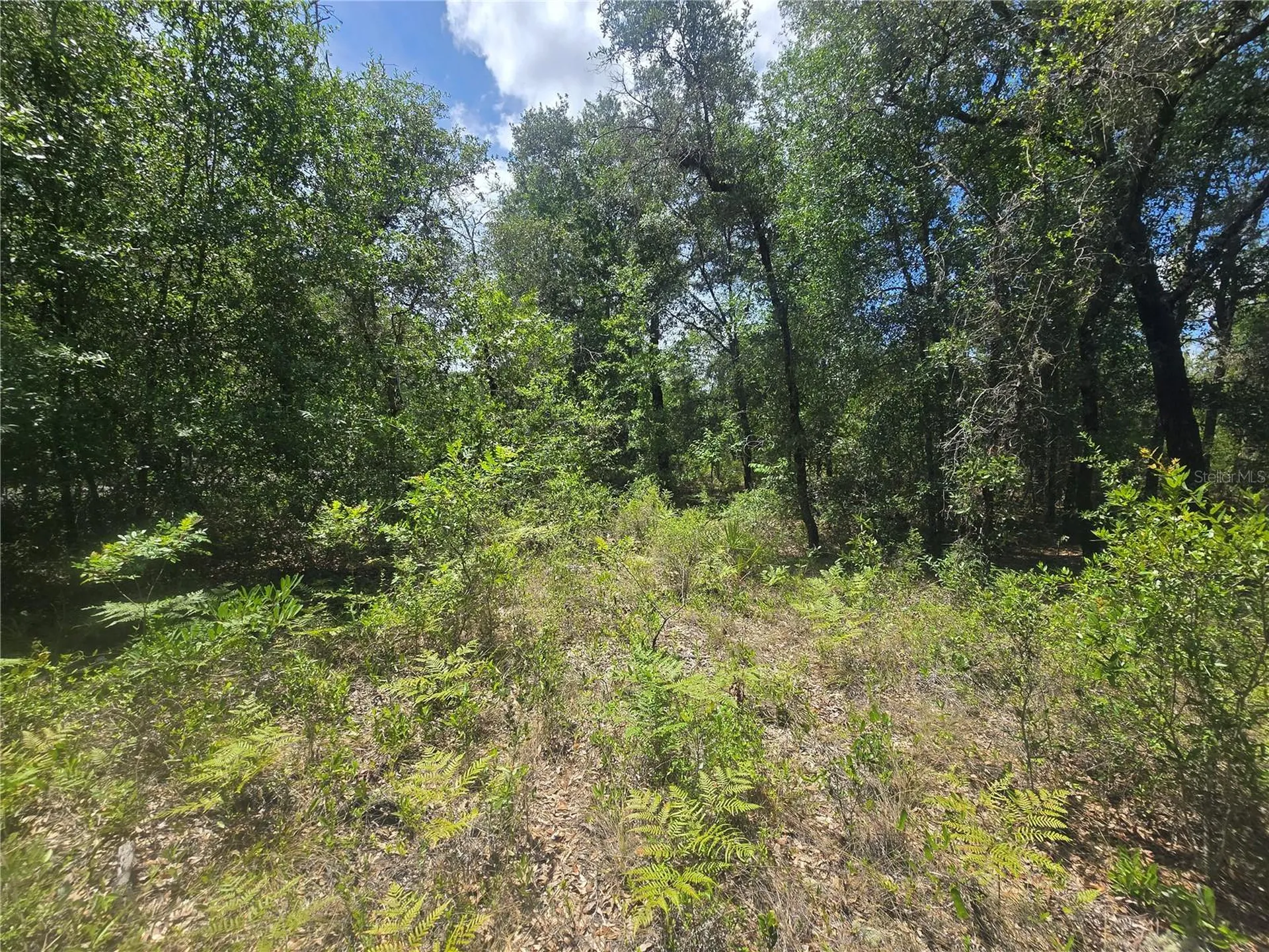 8365 N Ibsen Drive Citrus Springs FL 34433