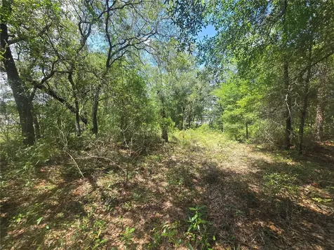 8365 N Ibsen Drive Citrus Springs FL 34433