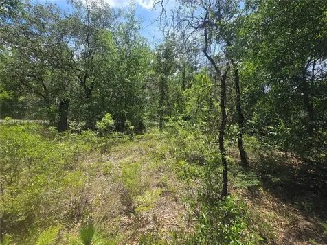 8365 N Ibsen Drive Citrus Springs FL 34433