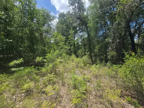 8365 N Ibsen Drive Citrus Springs FL 34433