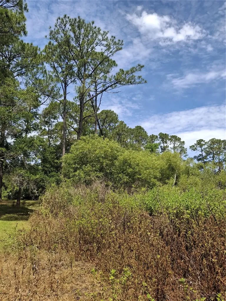 885 E Lehigh Drive Deltona FL 32738