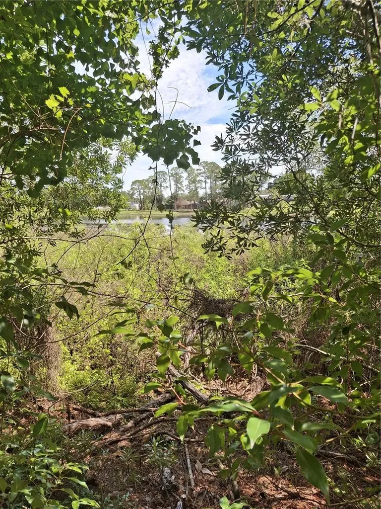 885 E Lehigh Drive Deltona FL 32738