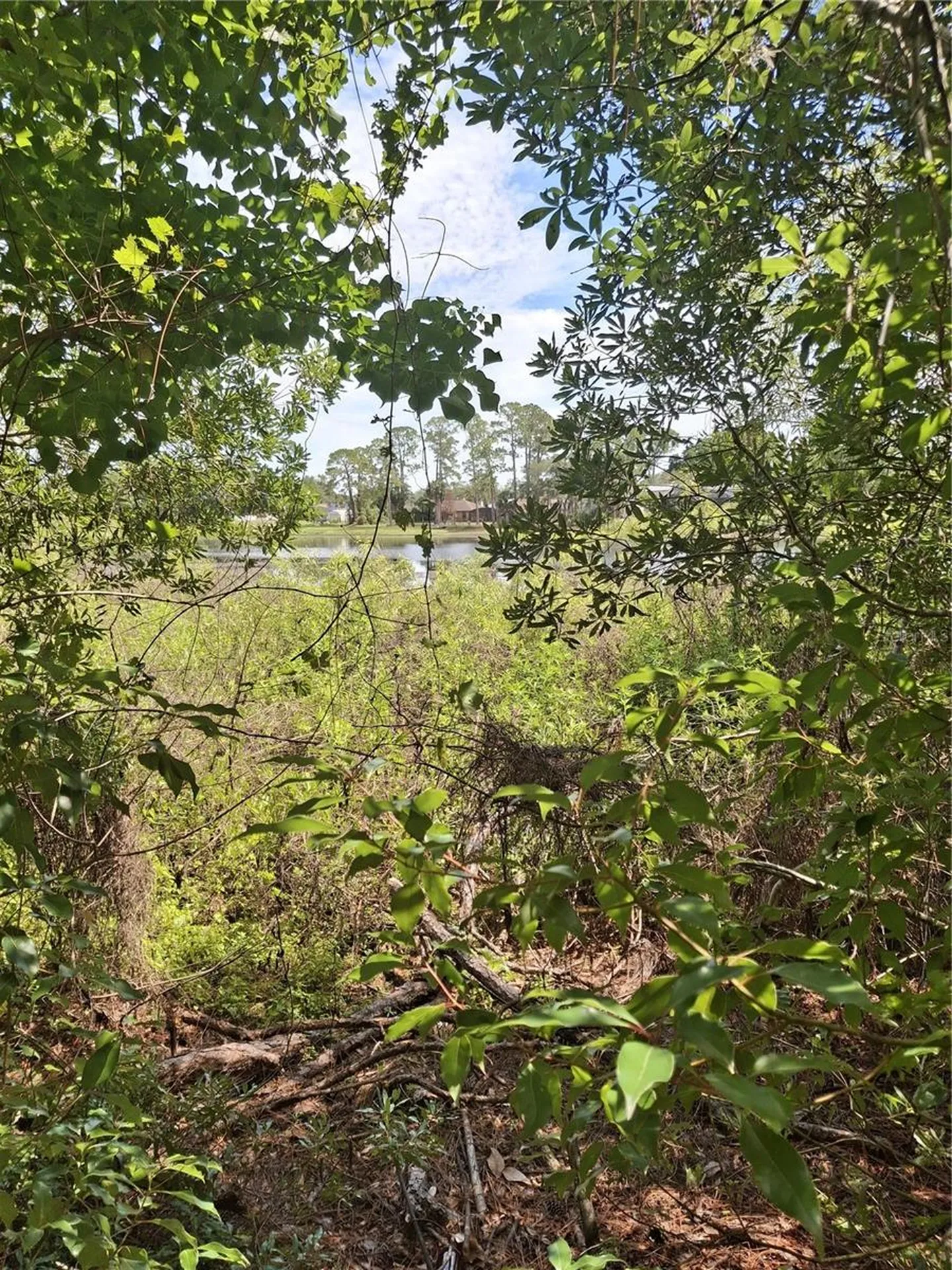 885 E Lehigh Drive Deltona FL 32738