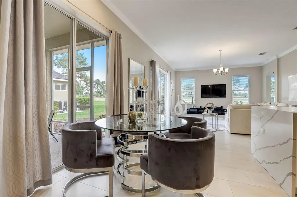 23338 Dinhurst Court Land O Lakes FL 34639