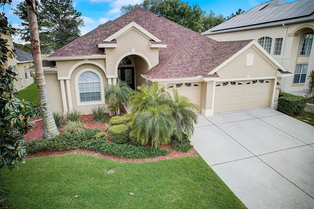 23338 Dinhurst Court Land O Lakes FL 34639