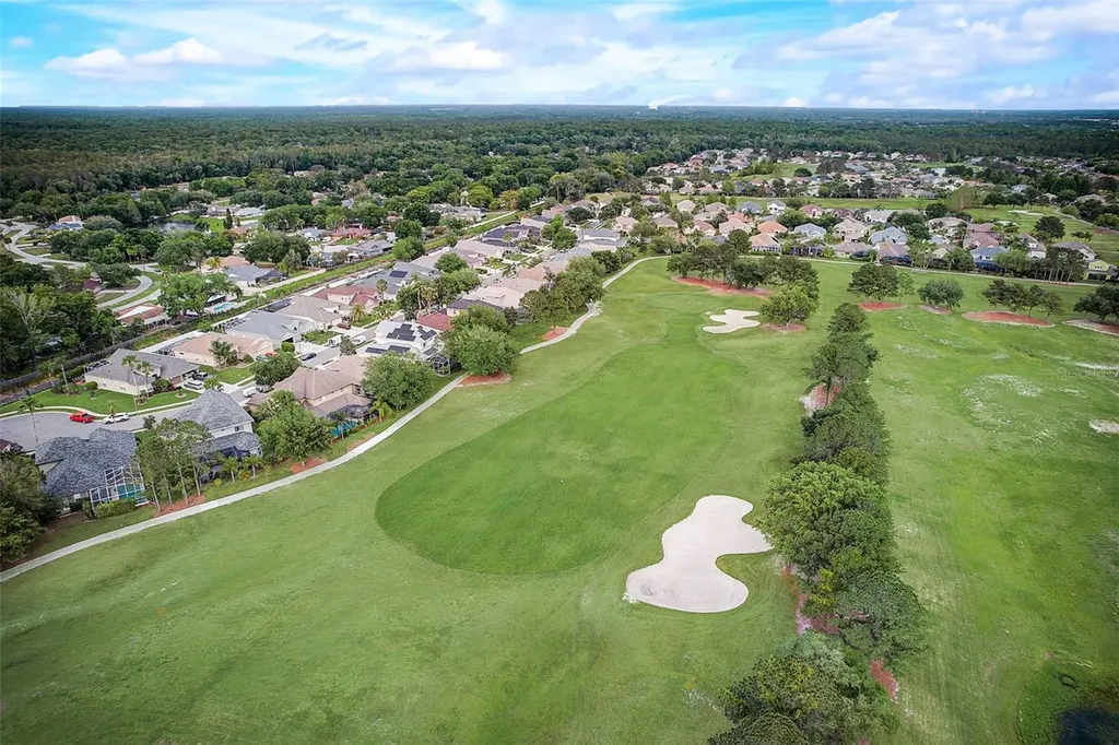 23338 Dinhurst Court Land O Lakes FL 34639