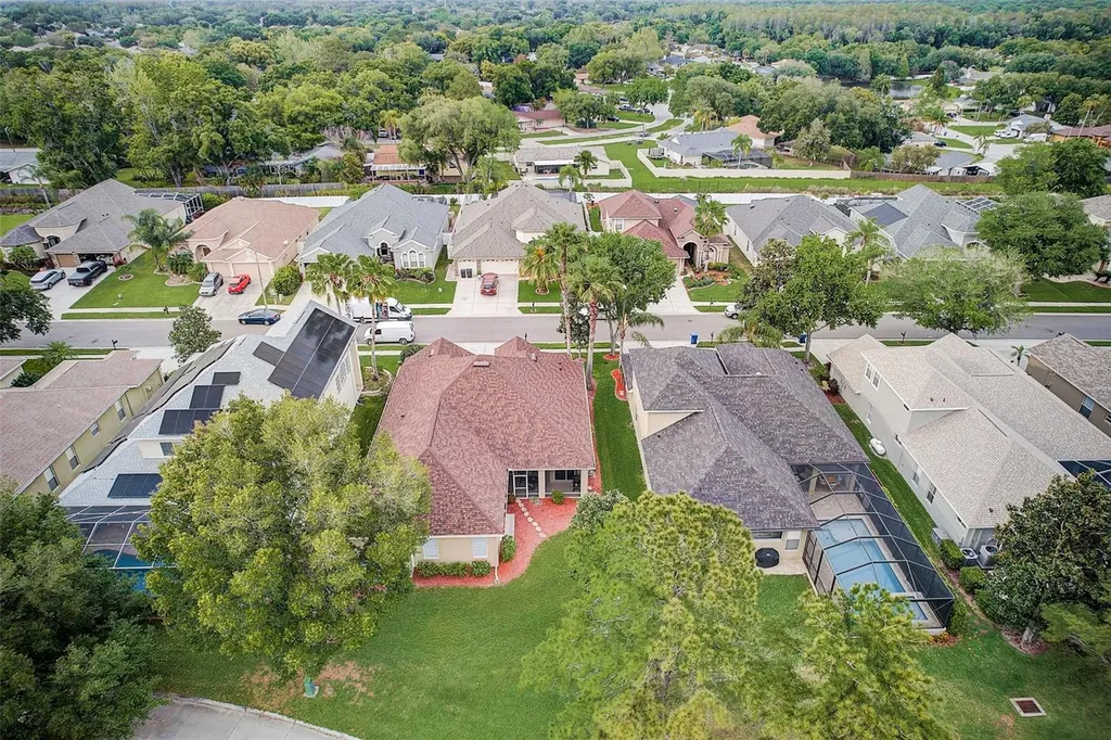 23338 Dinhurst Court Land O Lakes FL 34639