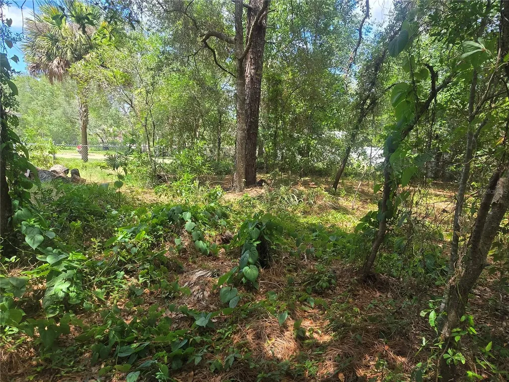 8467 N Empire Avenue Citrus Springs FL 34433