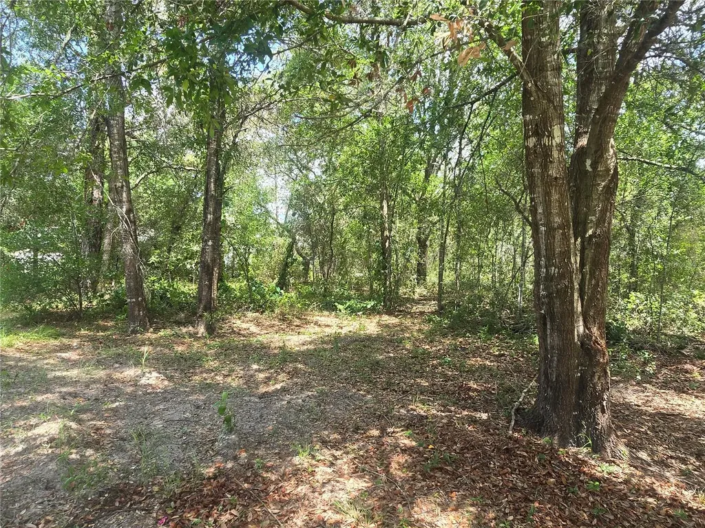 8467 N Empire Avenue Citrus Springs FL 34433