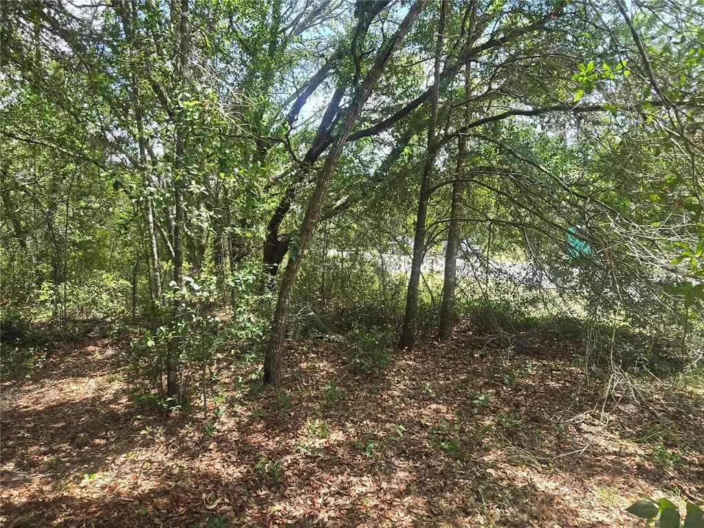 8467 N Empire Avenue Citrus Springs FL 34433