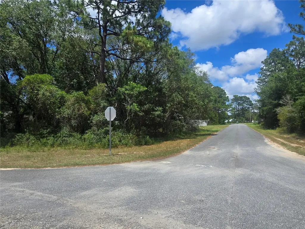 8467 N Empire Avenue Citrus Springs FL 34433