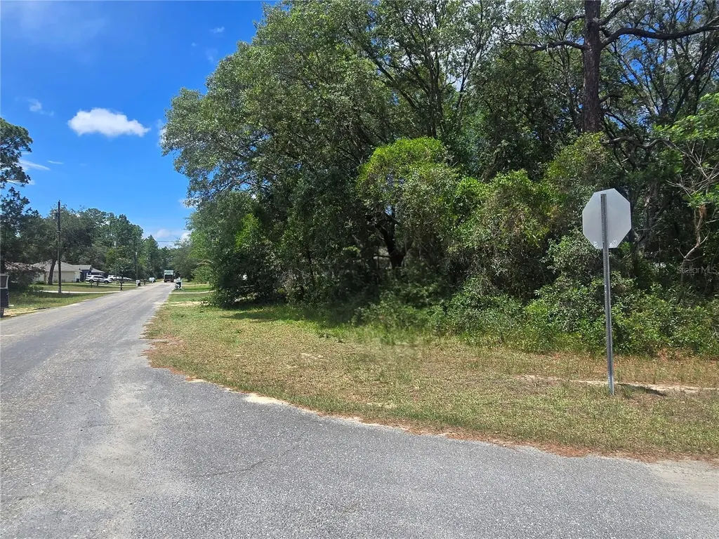8467 N Empire Avenue Citrus Springs FL 34433