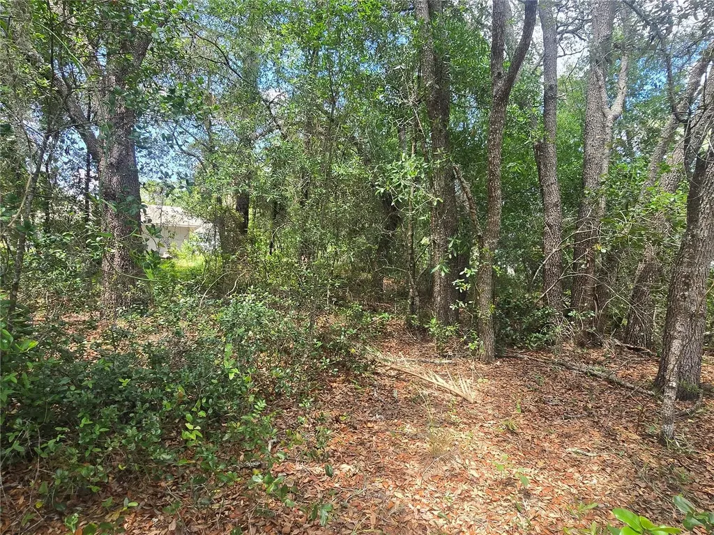 8467 N Empire Avenue Citrus Springs FL 34433