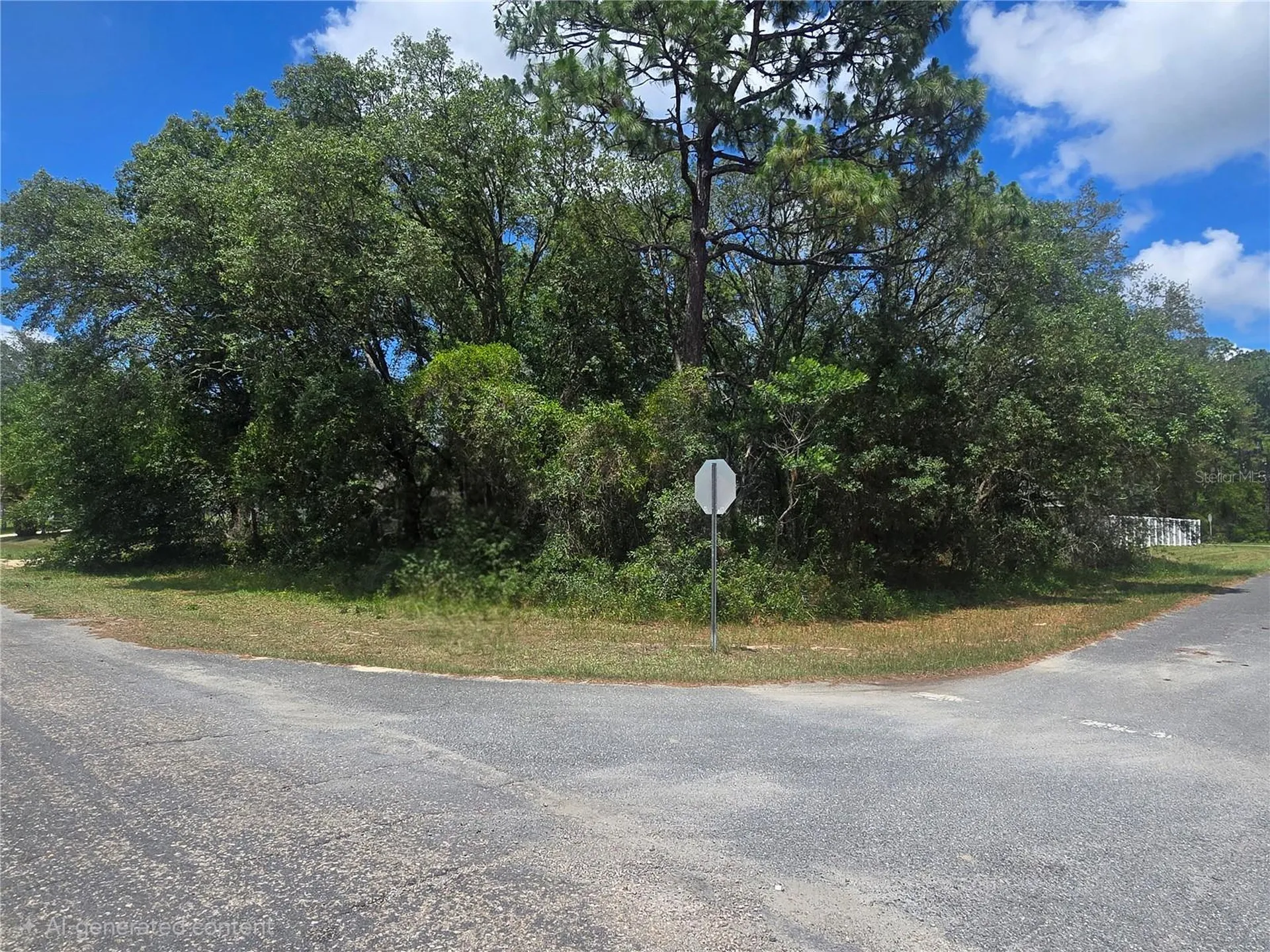 8467 N Empire Avenue Citrus Springs FL 34433