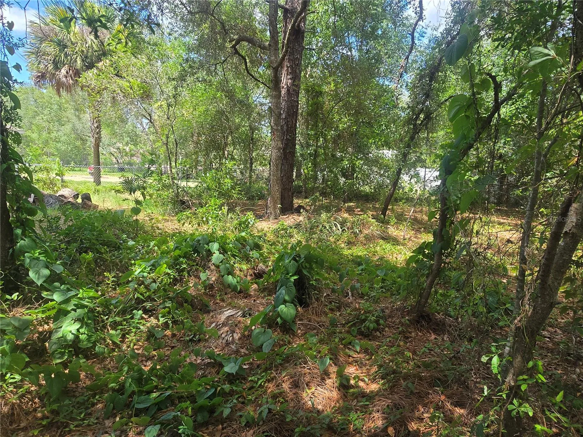 8467 N Empire Avenue Citrus Springs FL 34433