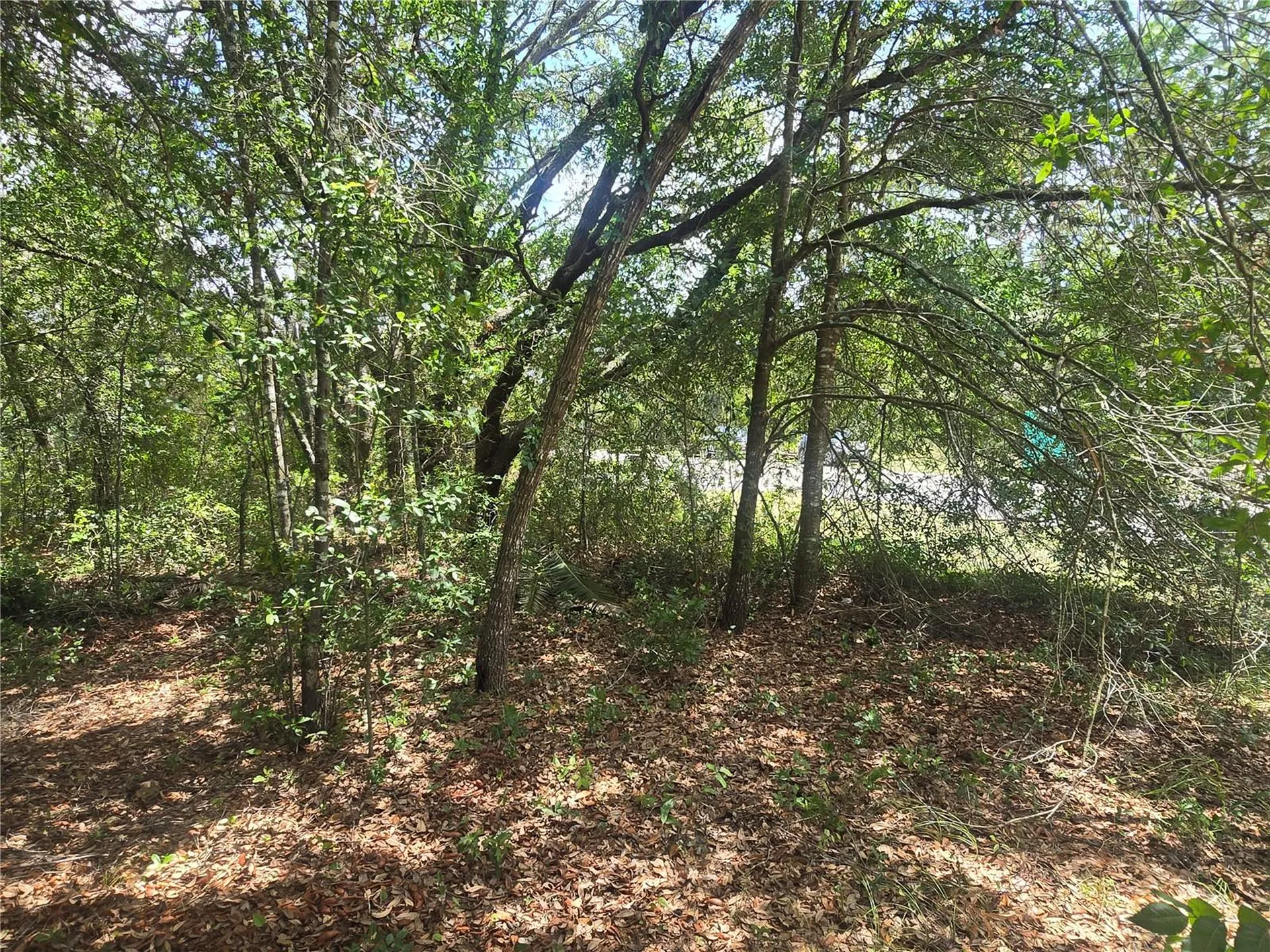8467 N Empire Avenue Citrus Springs FL 34433