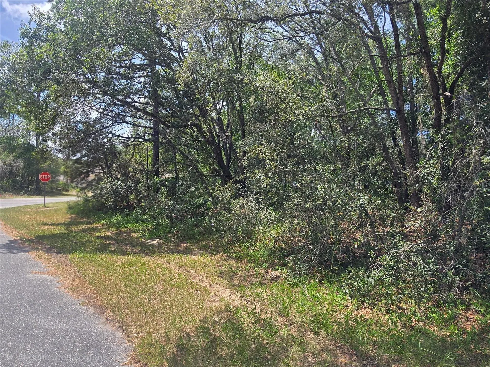 8467 N Empire Avenue Citrus Springs FL 34433