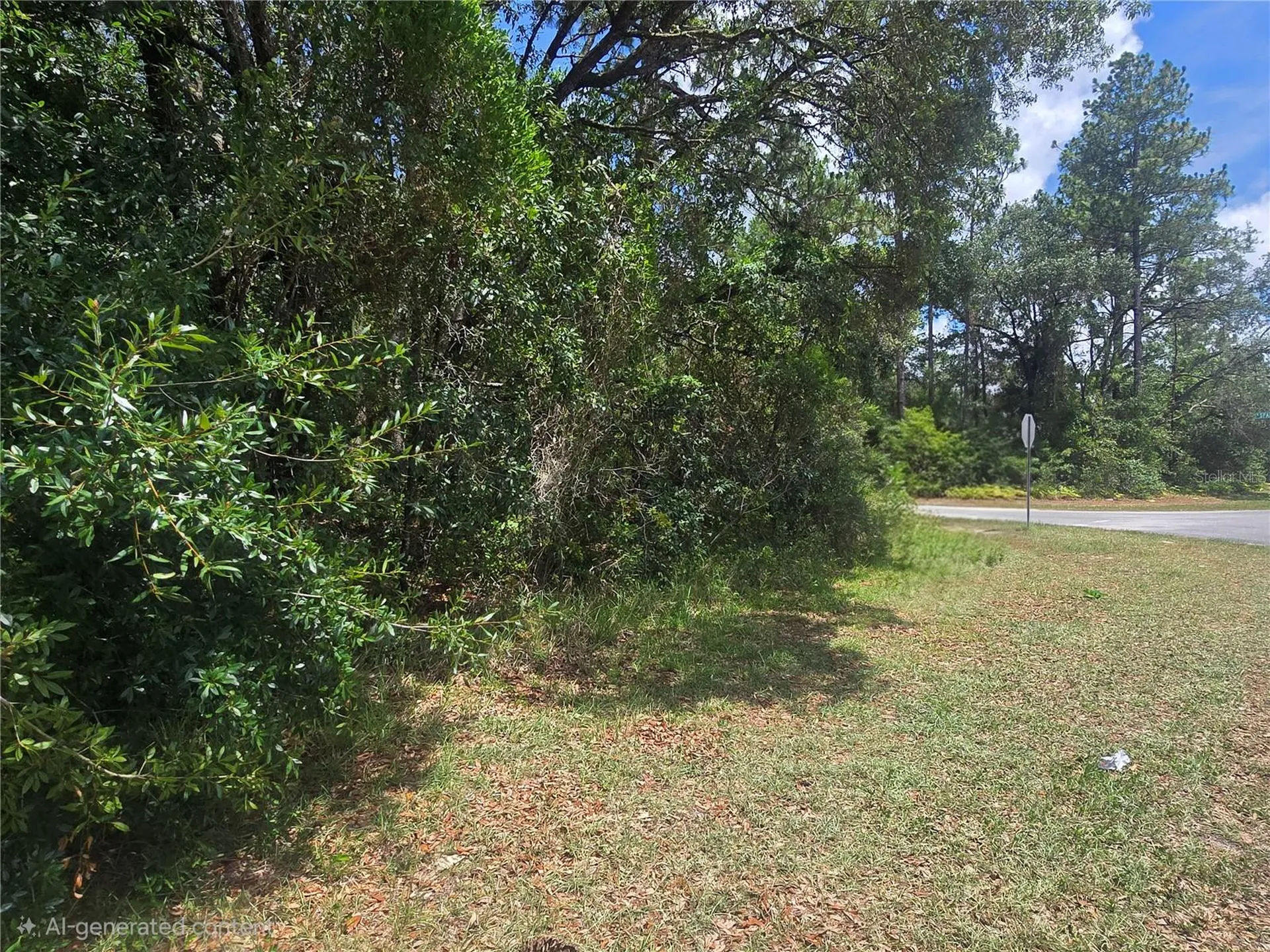 8467 N Empire Avenue Citrus Springs FL 34433