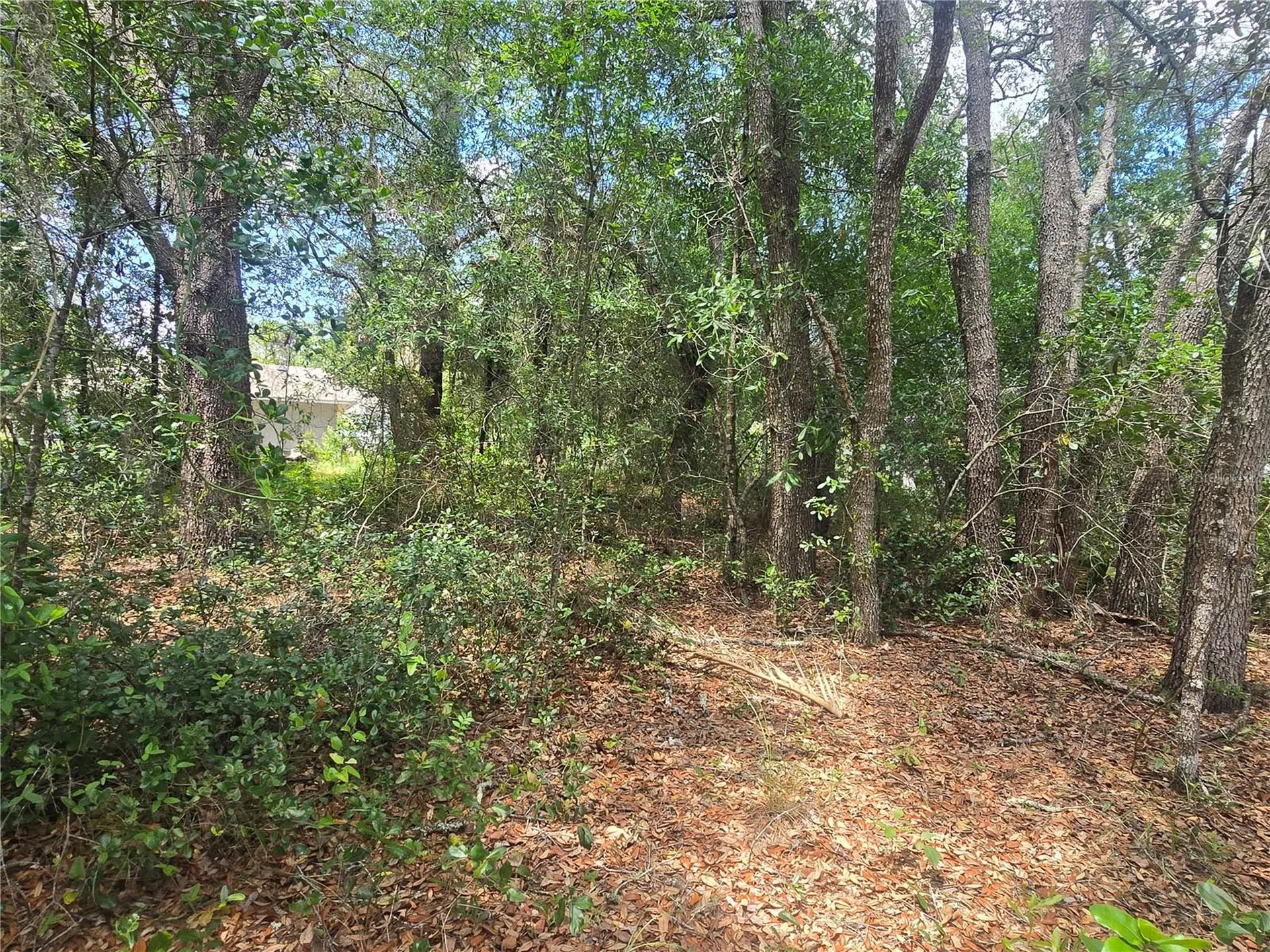 8467 N Empire Avenue Citrus Springs FL 34433