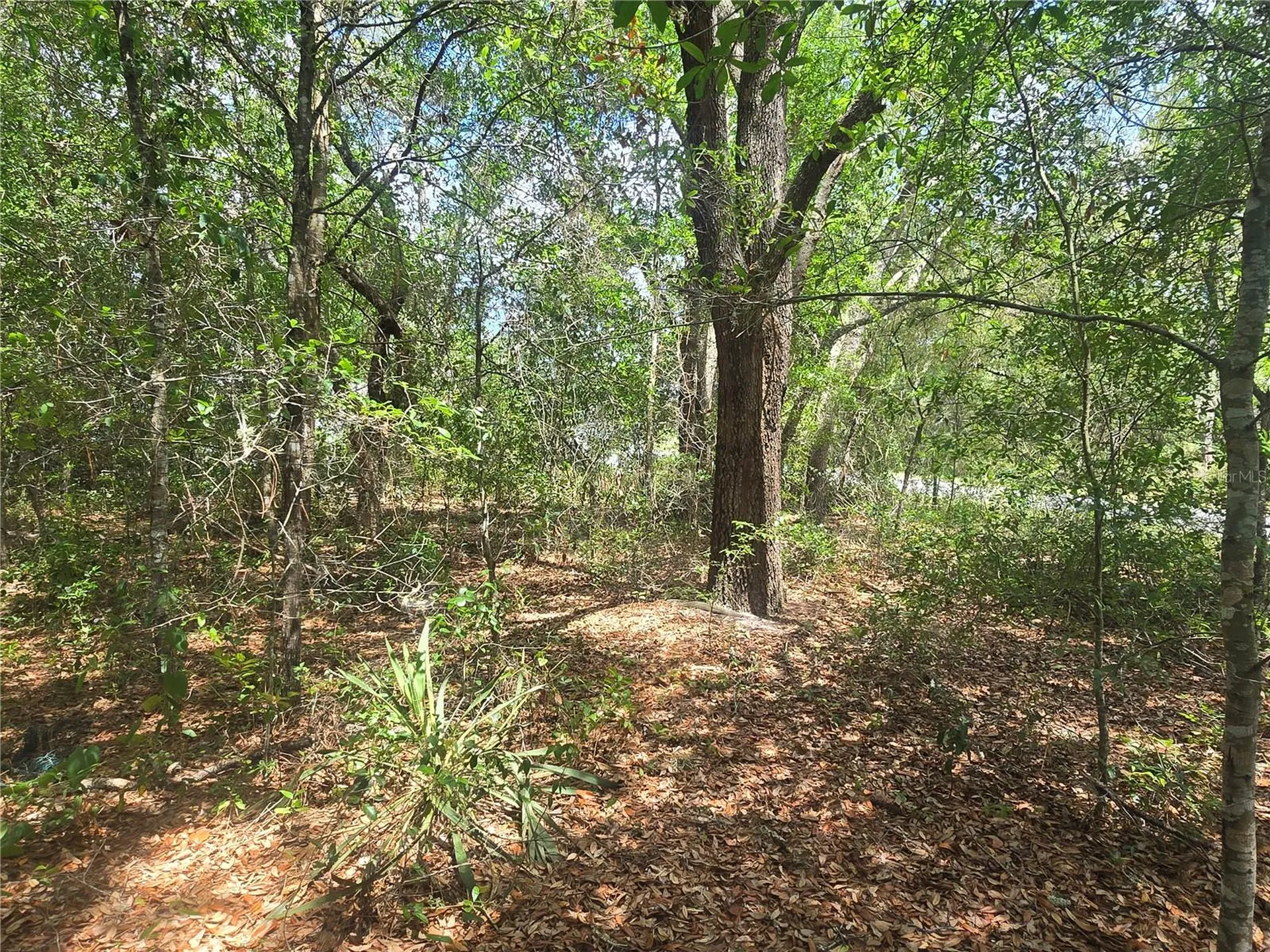 8467 N Empire Avenue Citrus Springs FL 34433