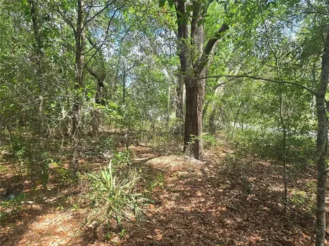 8467 N Empire Avenue Citrus Springs FL 34433