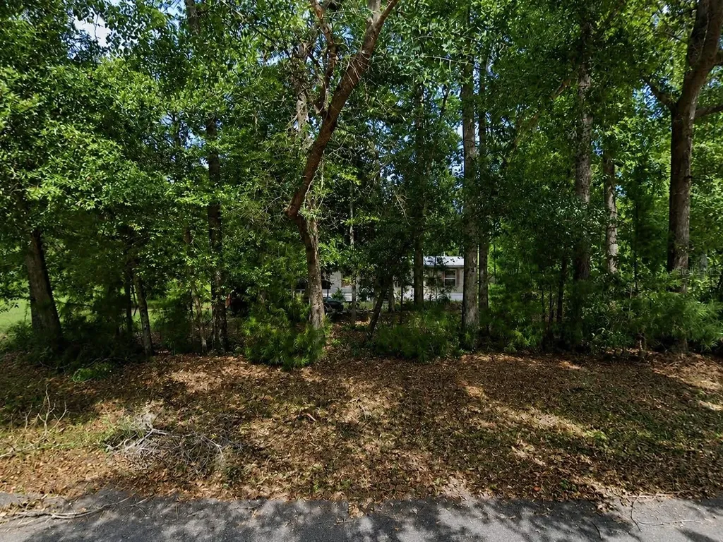 20 Mcmahan Road Crawfordville FL 32327