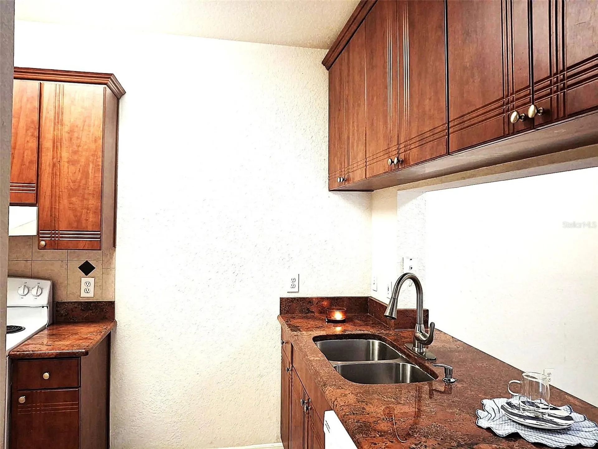 13304 Sanctuary Cove Drive Tampa FL 33637