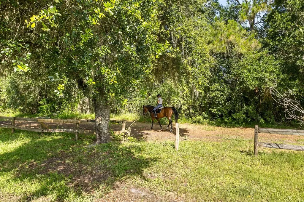 2880 Waters Edge Road Palm Harbor FL 34685