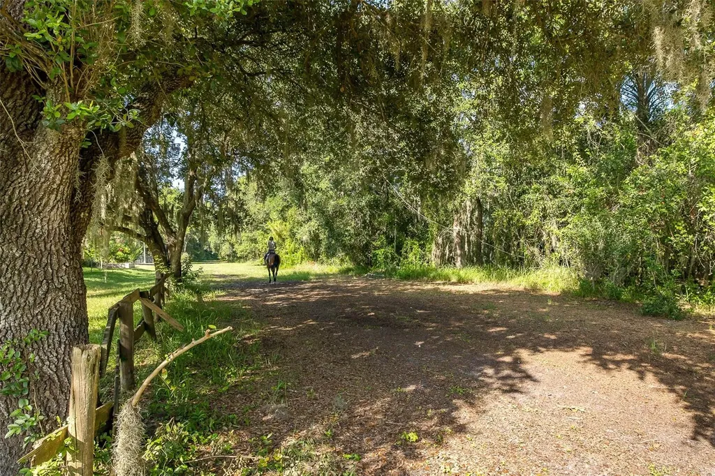 2880 Waters Edge Road Palm Harbor FL 34685