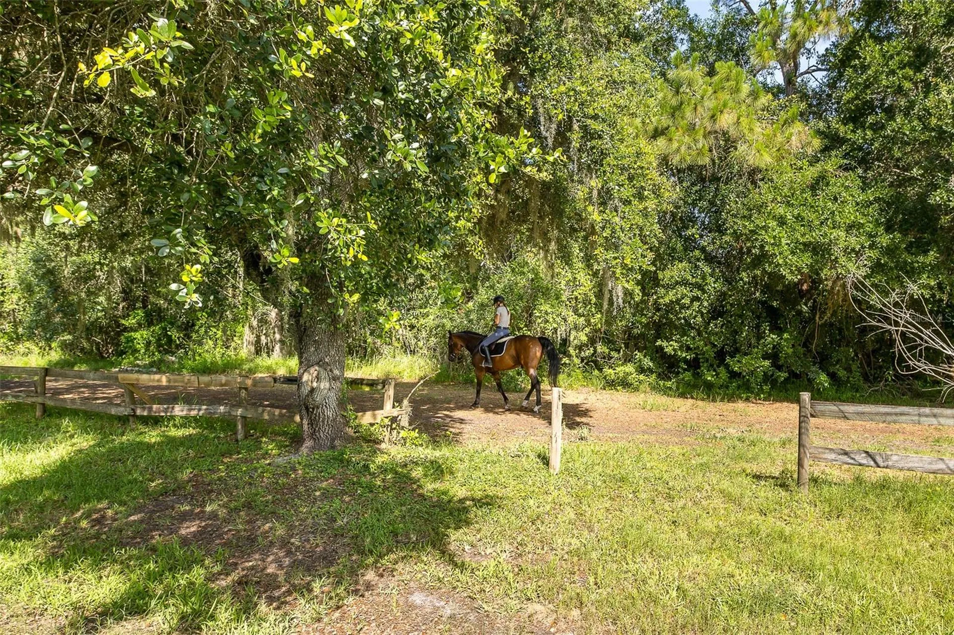 2880 Waters Edge Road Palm Harbor FL 34685