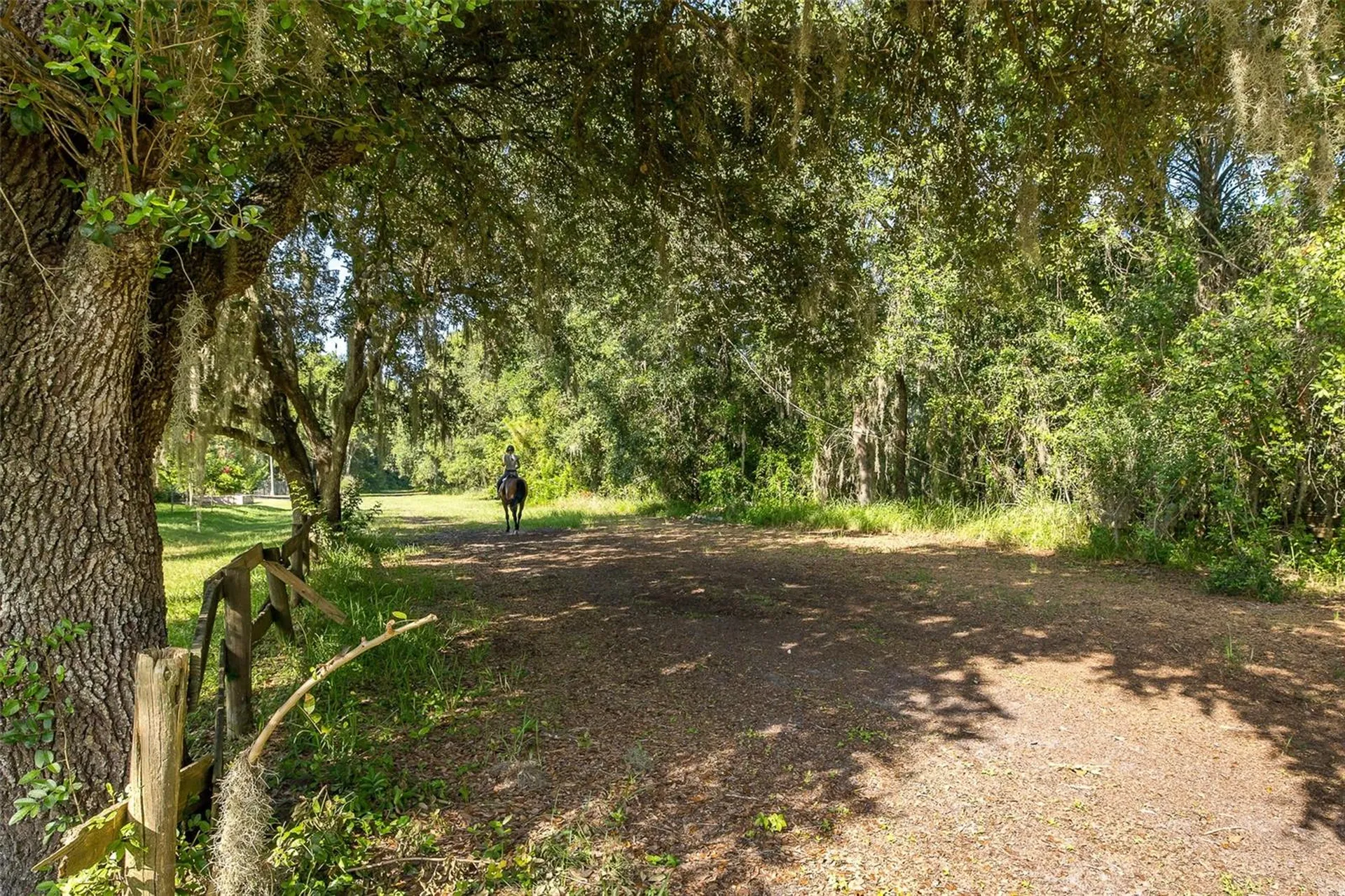 2880 Waters Edge Road Palm Harbor FL 34685